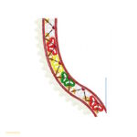 فایل نقش کامپیوتری یقه – کد ۱۰۲۰